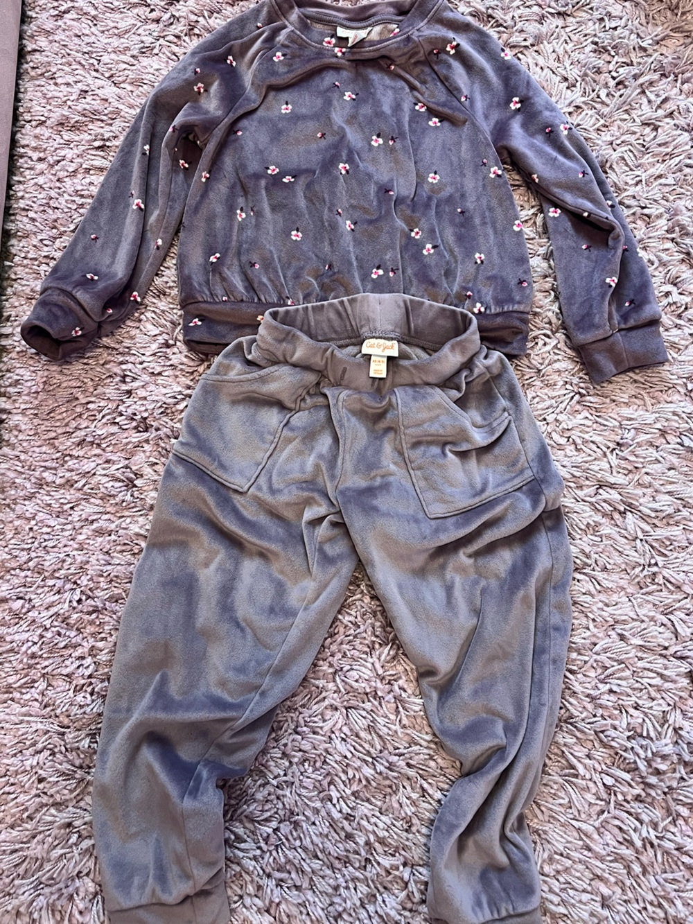 Cat & Jack Velour Jogger Pants and Top